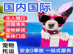 九寨黄龙机场快运国际宠物托运 【国